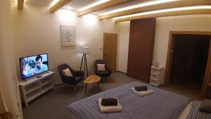 a living room with a bed and a tv and chairs at Three Apartment in Františkovy Lázně
