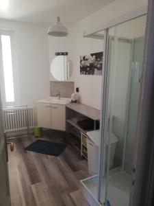 uma casa de banho com um lavatório e um espelho em appartement avec 2 chambres, proche de la gare de saint brieuc em Saint-Brieuc