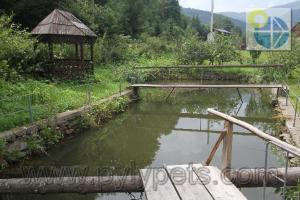 Fotografia z galérie ubytovania Гiрська Роса v destinácii Pilipets
