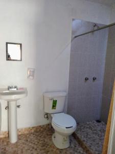 a bathroom with a toilet and a shower and a sink at Hotel Juarez in Cuernavaca