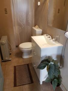 une salle de bain avec des toilettes blanches et un lavabo dans l'établissement Calafate Vision, à El Calafate
