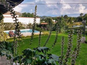 una planta en un patio con piscina en Casa de Campo Vaqueros Salta en Vaqueros