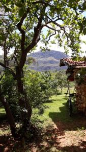 a bike parked next to a tree next to a building at Pousada Casa do Arco in Santana do Riacho