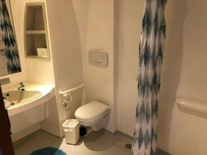 a bathroom with a toilet and a sink at STF Jumbo Stay Stockholm in Arlanda