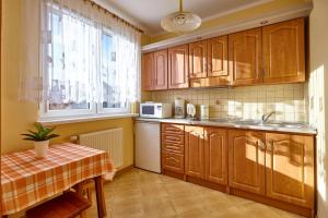 Kuchnia lub aneks kuchenny w obiekcie Apartamenty Vega