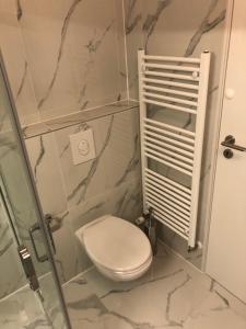 uma casa de banho com um WC e uma cabina de duche em vidro. em Apartments Nuna em Krapinske Toplice