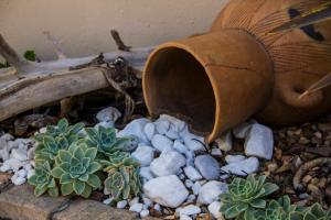Casa Mia Guesthouse في تابل فيو: وعاء وبعض النباتات على كومة من الصخور