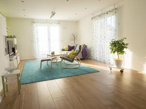 ein Wohnzimmer mit einem Sofa und einem Teppich in der Unterkunft 16Lilien Apartmentwohnung in Waiblingen