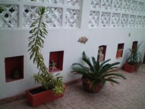 Gambar di galeri bagi Cancun Guest House 3 near Ado bus terminal and 25 min from-to airport by shuttle di Cancún