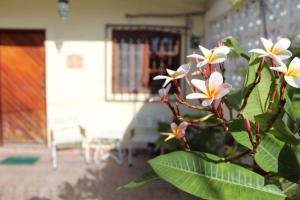 Taman di luar Cancun Guest House 3 near Ado bus terminal and 25 min from-to airport by shuttle