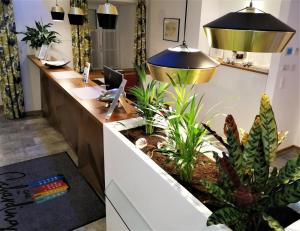 an office with a reception desk with plants at Das Schärding in Schärding