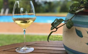 a glass of wine sitting on a table next to a vase at La Casa Blu in Calliano