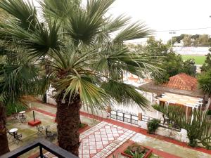 Zahrada ubytování Miranta Hotel - Apartments & Studios