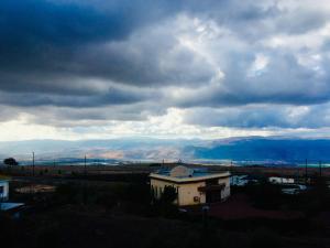 Priroda u blizini brvnare