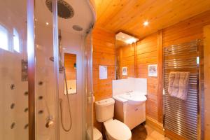 a bathroom with a toilet and a shower and a sink at Pine Log Cabin in Swanage