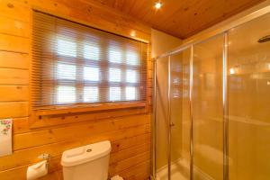 a bathroom with a toilet and a glass shower at Pine Log Cabin in Swanage