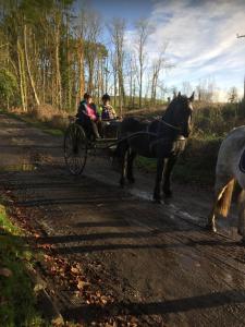 Hosté ubytování Retreat at The Knowe Auchincruive Estate