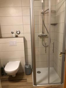 a bathroom with a shower and a toilet at Ferienwohnung direkt am Skigebiet und Bikepark in Winterberg