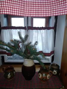 a plant in a vase on a table in front of a window at Görbe Vendégház magyar klasszika in Tarcal