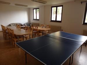 Tischtennis in der Unterkunft Penzion Janovice oder in der Nähe