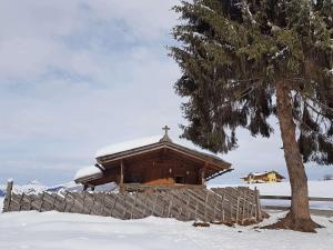 Almliesl HOLL-361 im Winter