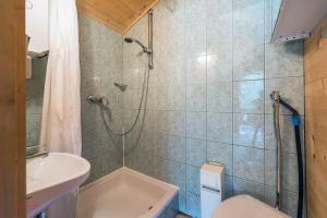 ein Badezimmer mit Dusche, Toilette und Waschbecken in der Unterkunft Almliesl HOLL-361 in Hollersbach im Pinzgau