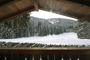 Almliesl HOLL-361 im Winter