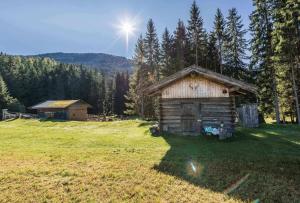 eine kleine Holzhütte auf einem Feld mit Bäumen in der Unterkunft Almliesl HOLL-361 in Hollersbach im Pinzgau