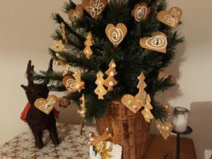 博加奇的住宿－Helló Bogács，顶部有饼干的圣诞树