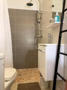 a bathroom with a shower and a toilet at Le ZANDOLI (Appartement avec vue) in Petit-Bourg