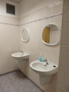 Ein Badezimmer in der Unterkunft Penzion Janovice