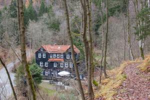a large black house with a red roof in the woods at Waldhaus Wolfsbachmühle in Hohegeiß