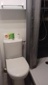 um WC branco numa casa de banho com chuveiro em SUPERDEVOLUY STUDIO au 433S em Le Dévoluy