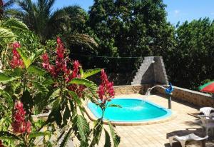una piscina con una fuente en un jardín en Pousada Café do Brejo en Triunfo