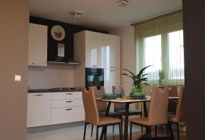 Kuchyň nebo kuchyňský kout v ubytování Apartman Zoe + 17 fotografií