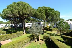 Blick auf einen Garten mit Bäumen und Sträuchern in der Unterkunft PIVERD DEL GOLF 58 in Pals