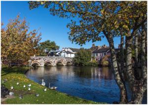 Foto dalla galleria di Bub Lane Cottage a Christchurch