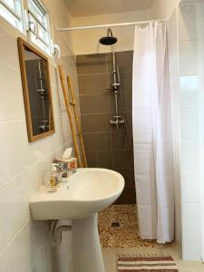 uma casa de banho com um lavatório branco e um chuveiro em Le MABOUYA em Petit-Bourg
