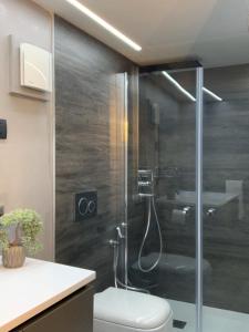a bathroom with a shower with a toilet and a sink at Kirchplatz Apartment Lupus in Zermatt