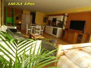 TV a/nebo společenská místnost v ubytování Appartements 5 Personnes MAYA et LOUNA