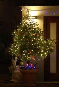 uma árvore de Natal num pote com luzes em Garni Villa Betty em Merano