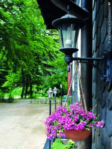una luz de la calle con una cesta colgante de flores púrpuras en Berghotel Brockenblick, en Hildesheim
