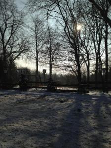 a snow covered park with trees and the sun in the background at Berghotel Brockenblick in Hildesheim