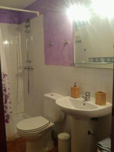 a bathroom with a toilet and a sink and a mirror at Apartamentos Saltarel·lo in Besalú +18 photos