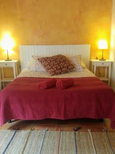 a bedroom with a large bed with two end tables at Apartamentos Saltarel·lo in Besalú