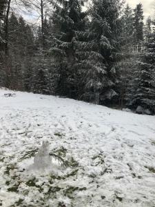 Horský Chalet Harrachov v zimě