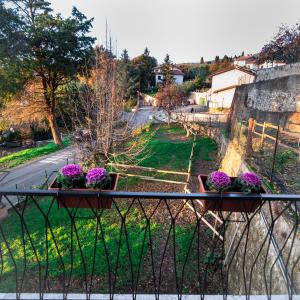 un giardino con fiori viola di La casa di Benvenuto a Montecchio