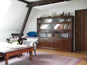 U Slunce في Ostředek: غرفة معيشة مع أريكة ورف كتاب