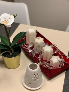 un plateau avec des bougies et une fleur sur une table dans l'établissement Apartman Delux Adda, à Zagreb