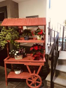 a flower cart with potted plants on the stairs at Viviendas vacacionales San Mateo in Vega de San Mateo
